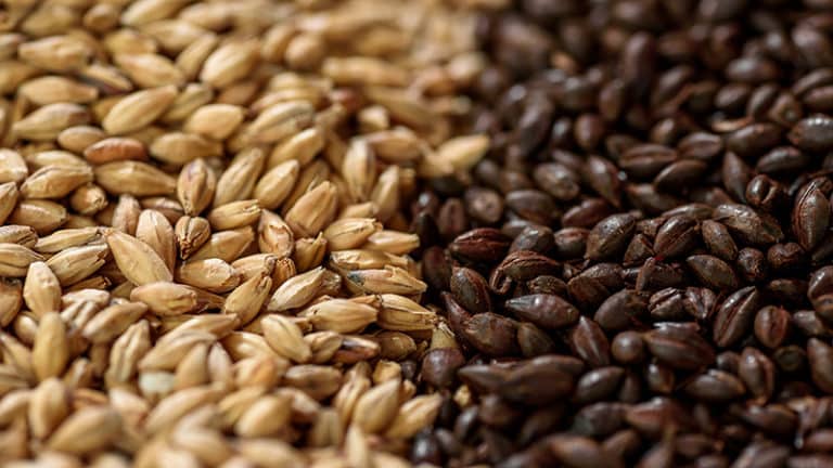 the-complete-list-of-every-malted-barley-on-earth