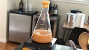 How To Make A Yeast Starter For Your Homebrew